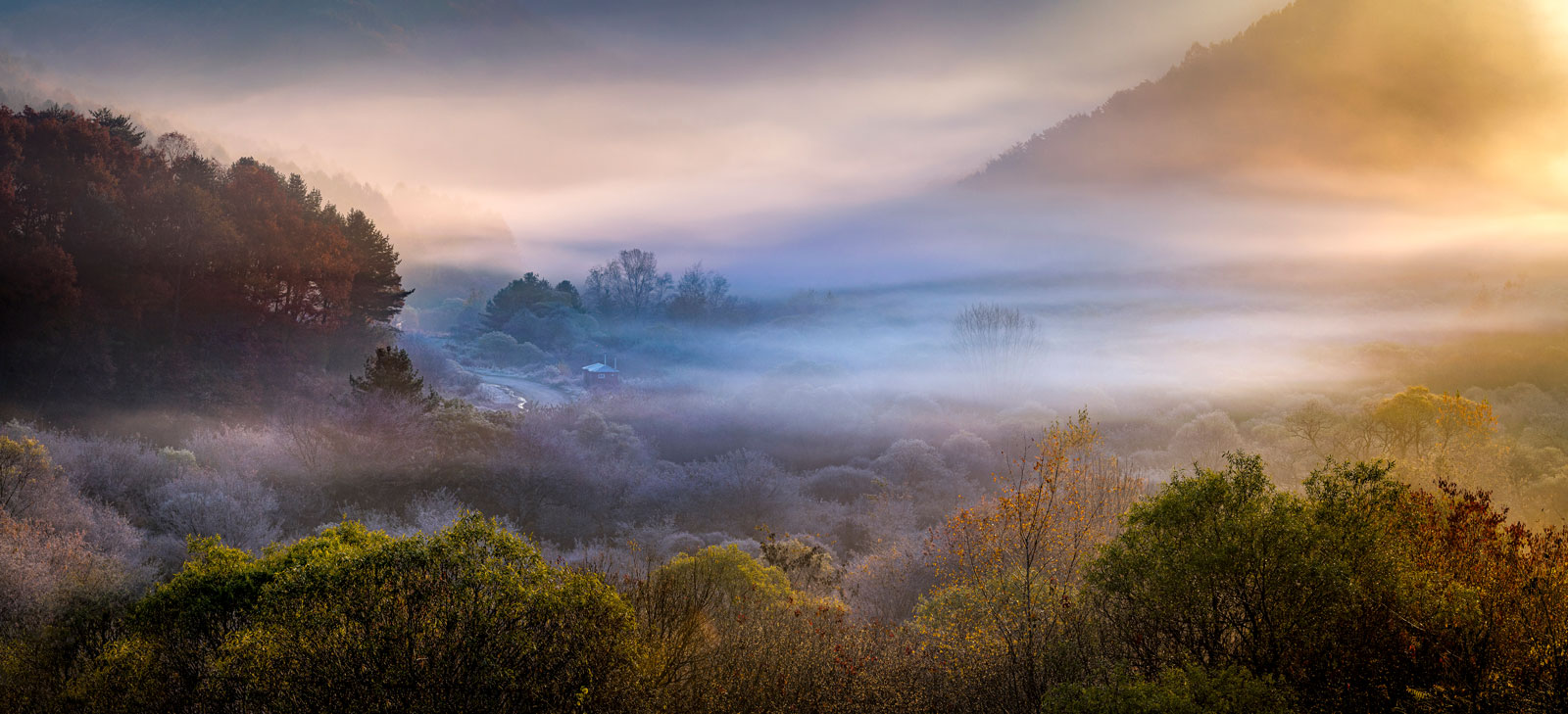 Photographer: Steve Bae (Myungsik Bae) | Title: Secret garden | Country: South Korea | Filter: PL + GRADIENT (HALF)