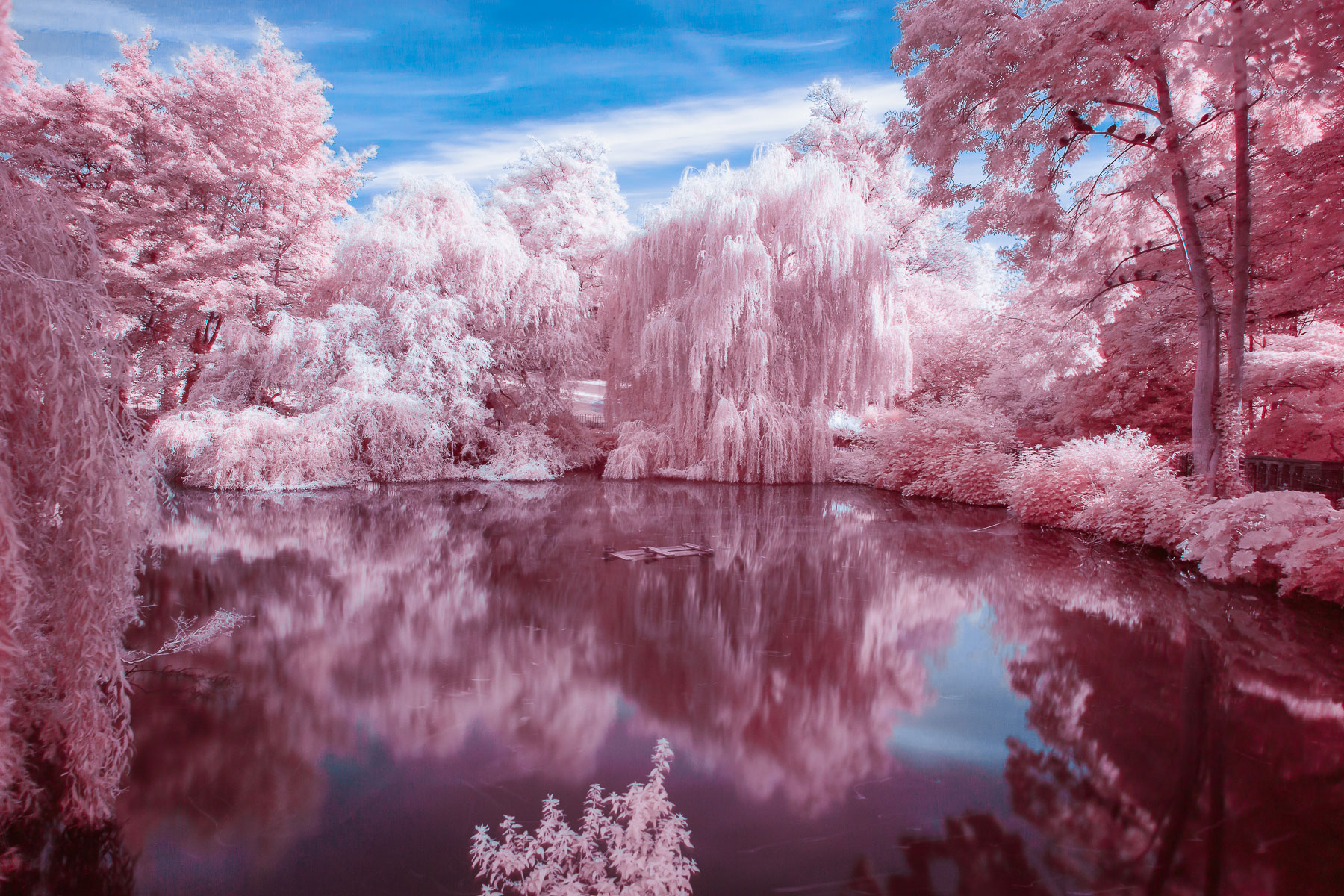 HOYA | Reviews - Infrared photography with the HOYA R72 filter